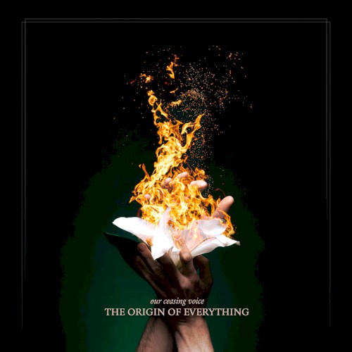The Origin of Everything