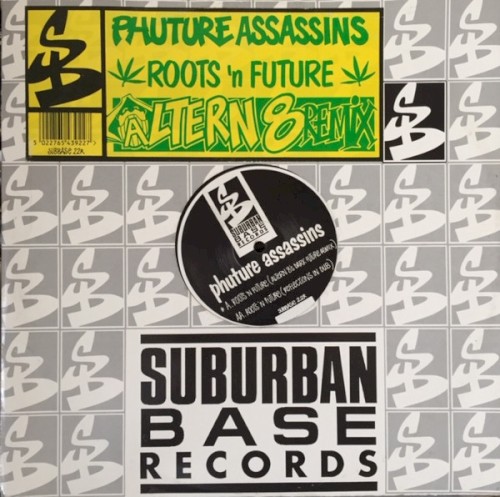 Roots ’n Future (Remixes)