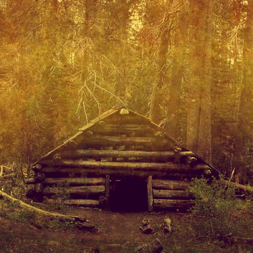 All that is Wild & Alive