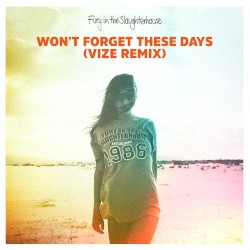Won’t Forget These Days (VIZE remix)