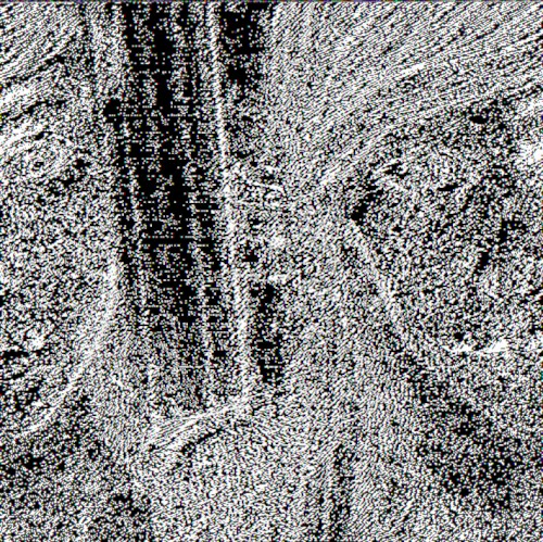 Assorted Remixes