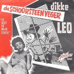 De schoorsteenveger