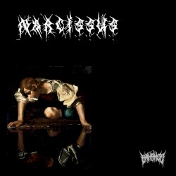 Narcissus