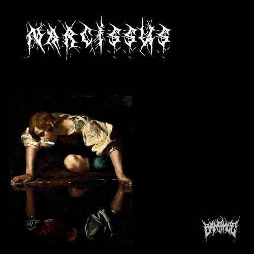 Narcissus