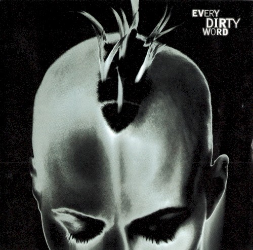 Every Dirty Word
