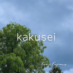 kakusei