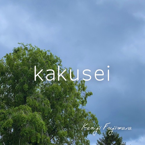 kakusei