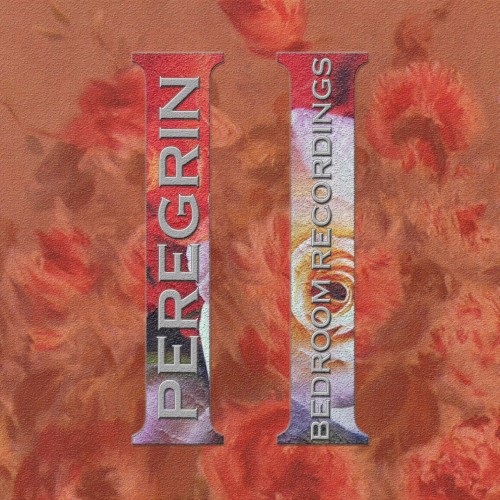 Bedroom Recordings II