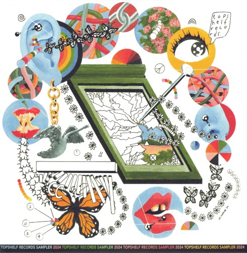 Topshelf Records 2023-2024 Label Sampler