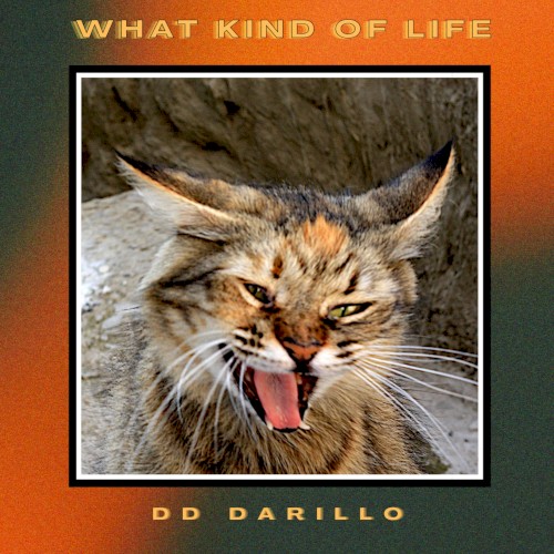 What Kind Of Life