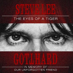 Eye of the Tiger (acoustic)