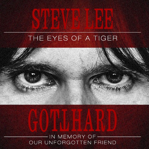 Eye of the Tiger (acoustic)