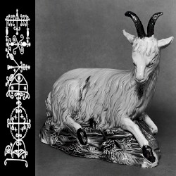 #220: On Silent Haunches and Then Moves On