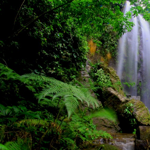 Connection With Nature