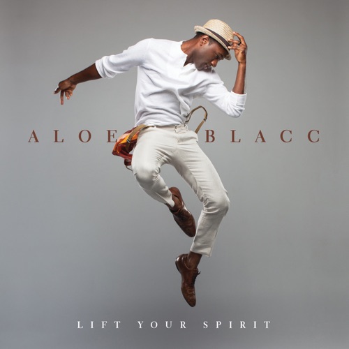 Lift Your Spirit (the instrumentals)