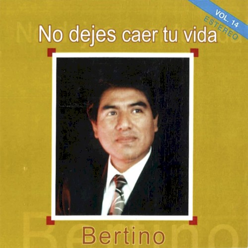 No dejes caer tu vida