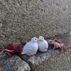三宅八幡宮