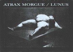 Necrophiliac Experience