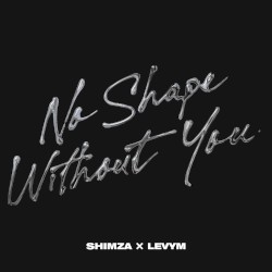 No Shape Without You