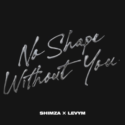 No Shape Without You