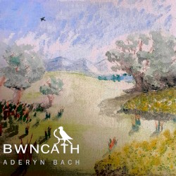 Aderyn Bach
