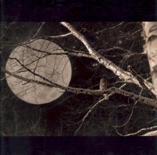 Musiques de nuit, Volume 3