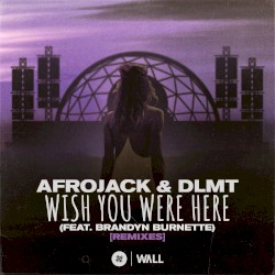 Wish You Were Here (Remixes)