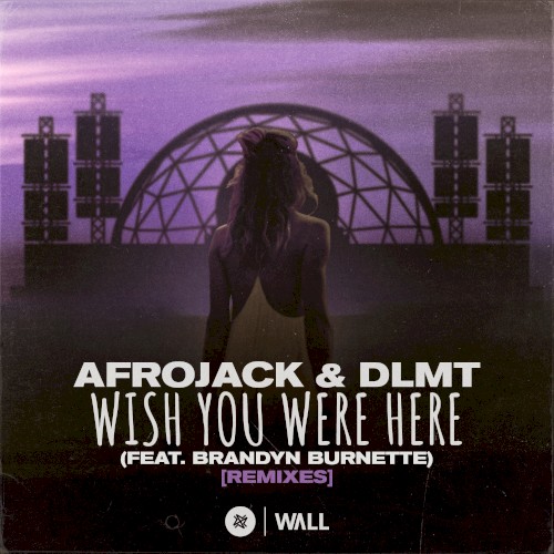 Wish You Were Here (Remixes)
