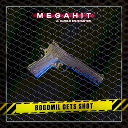Bogomil Gets Shot