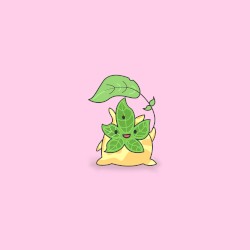 Korok Forest