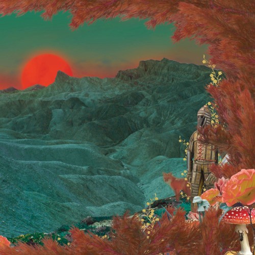 Hawkeyes / The Radiation Flowers