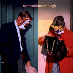 Toomuchnotenough