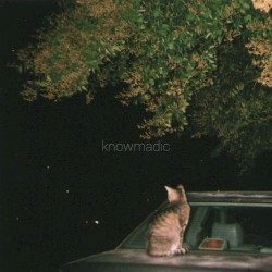 strays