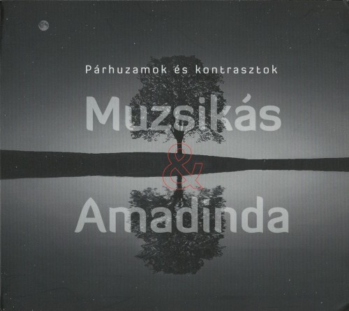 Párhuzamok és kontrasztok