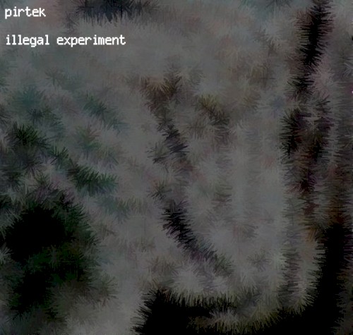 Illegal Experiment