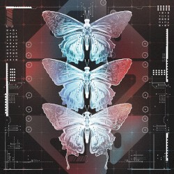 Dissolve / Forget