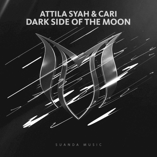 Dark Side of the Moon