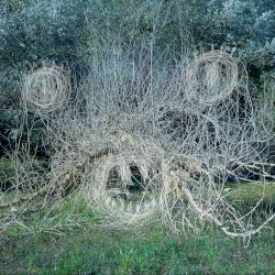 Ghost Fractal