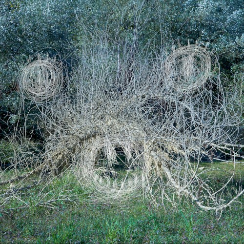 Ghost Fractal