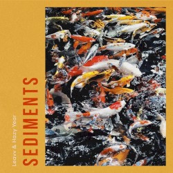 Sediments