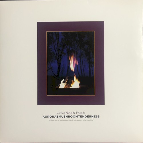 Aurorasmushroomtenderness