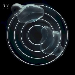 Fold EP