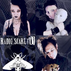 Too Goth for Punk, Too Punk for Goth