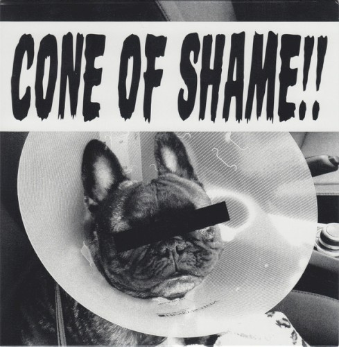 Cone of Shame
