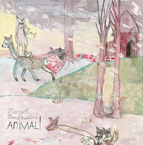 Animal! / Not Animal