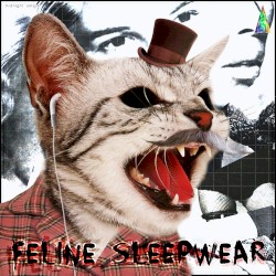 Feline Sleepwear