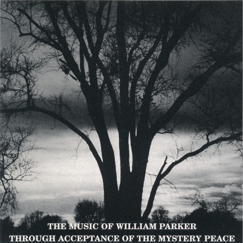 Through Acceptance of the Mystery Peace