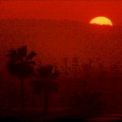 𝐅𝐄𝐀𝐑