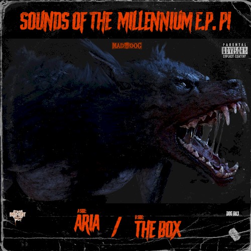 Sounds of the Millennium E.P. P1