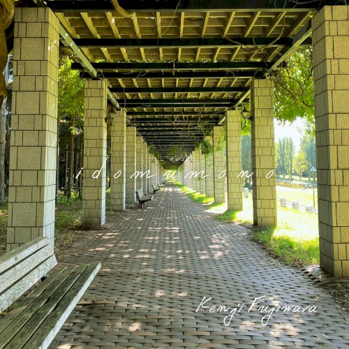 idomumono
